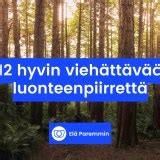 positiivisia luonteenpiirteitä|Luonteen ominaisuuksia, jotka tekevät sinusta。